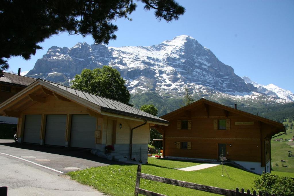 Chalet Baergbaechli Grindelwald Zewnętrze zdjęcie