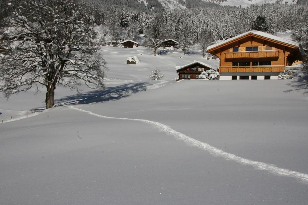 Chalet Baergbaechli Grindelwald Zewnętrze zdjęcie