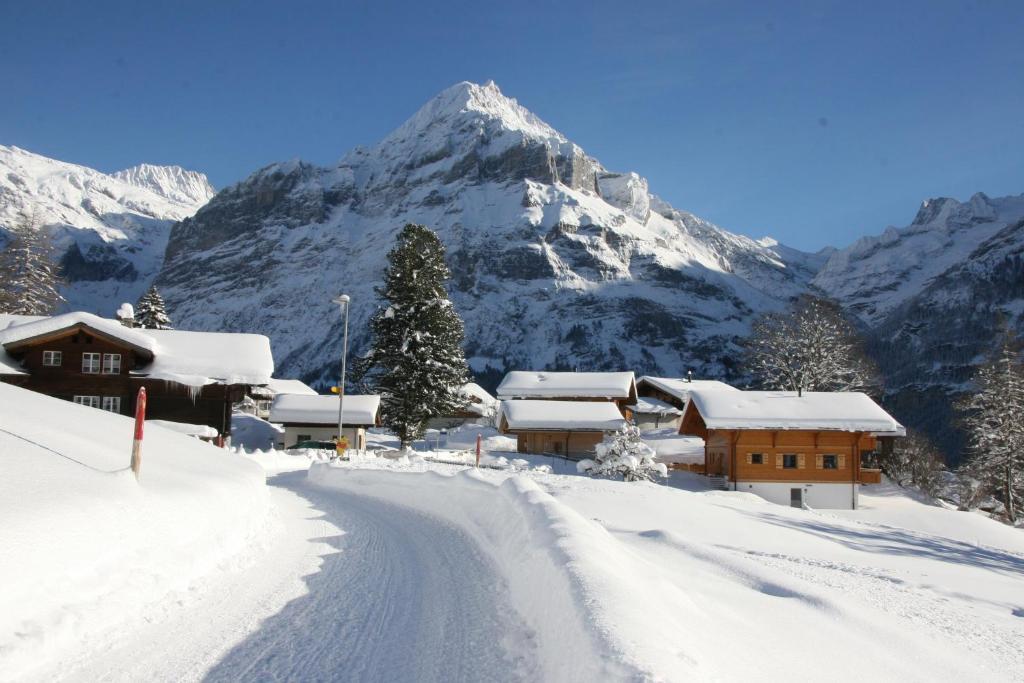 Chalet Baergbaechli Grindelwald Zewnętrze zdjęcie