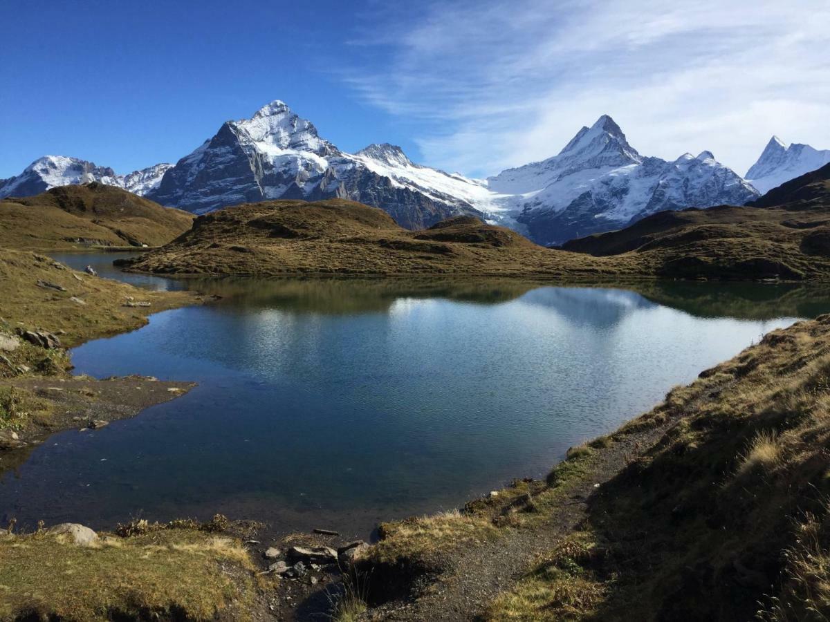 Chalet Baergbaechli Grindelwald Zewnętrze zdjęcie