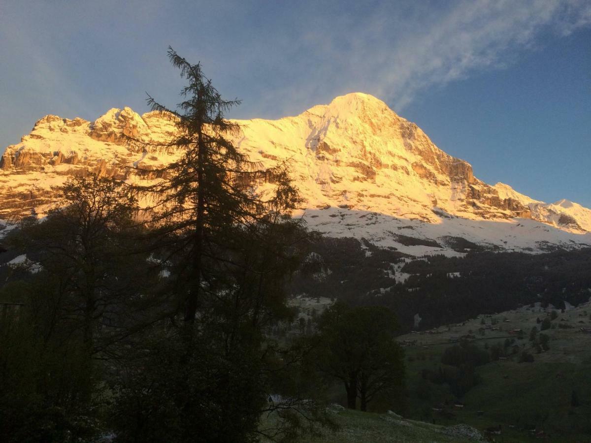 Chalet Baergbaechli Grindelwald Zewnętrze zdjęcie